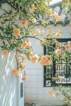 orange flowers growing on the side of a building