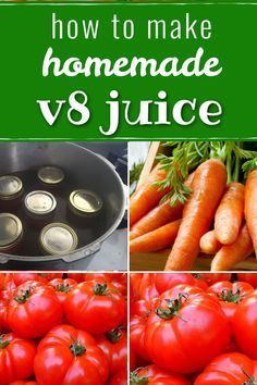 how to make homemade v8 juice with tomatoes, carrots and celery