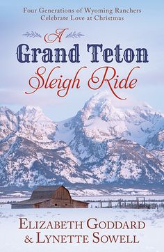 Western Romance Books, Love At Christmas, Christian Fiction Books, Christian Fiction, Celebrate Love, Sleigh Ride, Holiday Books, Happy Reading