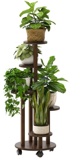 PRICES MAY VARY. 【With Wheels】🪴 The plant stand has wheels for easy movement and can be rotated 360 degrees. 【 HIGH-QUALITY Bamboo】 🌲 This plant stand uses natural bamboo wood, considering light and firmness. It is convenient for the overall movement. 【Water Resistance】 🌲This plant shelf can be used indoors and outdoors. Made of waterproof bamboo, it dramatically extends the service life. 【Stable & Durable】 🌲Can hold 5 large flower pots stably. bolded material and butt screws solidify this p Black Bamboo Plant, Plant Stand Corner, Plants On Walls, Black Plant Stand, Corner Plant Stand, Plant Stand With Wheels, Mid Century Plant Stand, Indoor Plant Stand, Balcony Living Room