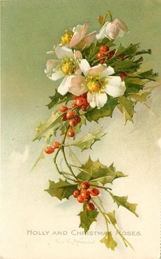 an old fashioned christmas card with holly and flowers