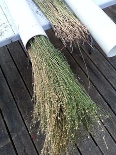 a bunch of plants that are on top of a wooden floor next to a white pipe