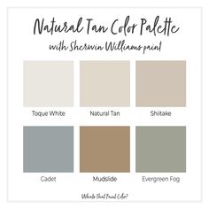 the neutral palette with sheryln williams paint in shades that are neutral and white