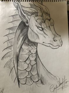 a pencil drawing of a dragon head