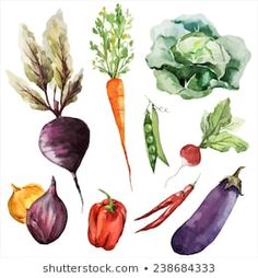 vegetables painted in watercolor on a white background with clippings for each item