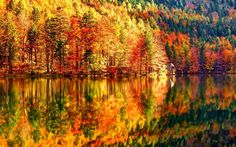 a lake surrounded by trees in the fall