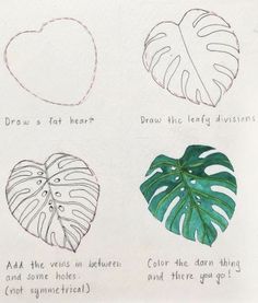 four different types of leaves are shown in this handwritten drawing, with the words draw a heart draw the leafy division