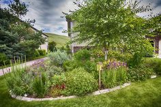 a lush green yard with lots of flowers and trees