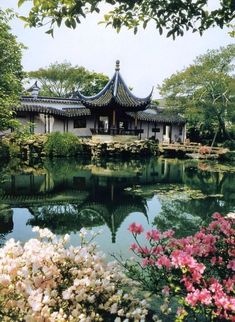 a pond with flowers in the foreground and a chinese building in the back ground