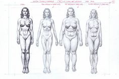 a drawing of three different types of female body shapes and sizes, from the front to the back