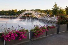 the water fountain is surrounded by flower pots