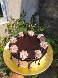 a chocolate cake sitting on top of a yellow plate next to a bush and window