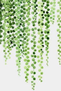 watercolor painting of green leaves hanging from the ceiling in front of a white wall