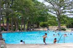 many people are swimming in a large pool