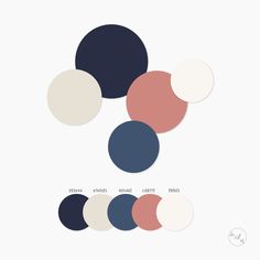 the color palette is shown with different colors