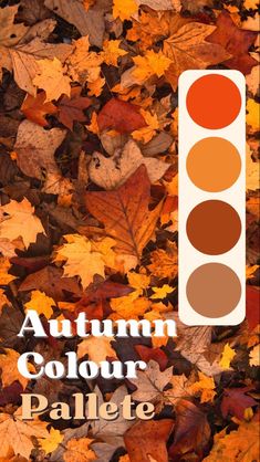 an autumn color palette with the words autumn colours in front of it and leaves on the ground