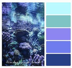 an underwater scene with blue and purple hues in the water, including corals