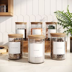 four jars filled with different types of spices on a counter top next to a potted plant