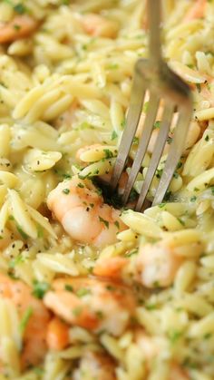 a fork is stuck into some pasta with shrimp