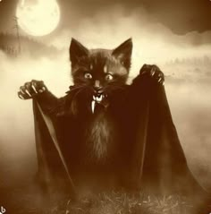 a black cat dressed as a bat in front of a full moon with its arms outstretched