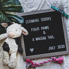 a stuffed animal next to a sign that says coming soon four paws and a waggin tail