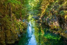 two people are standing on the edge of a narrow river surrounded by trees and rocks