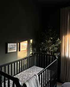 a small crib in a dark room with curtains on the windowsill and a potted plant next to it