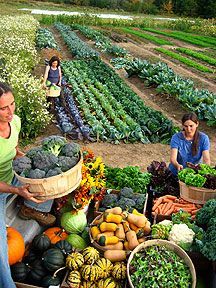 two women standing in front of a table filled with vegetables