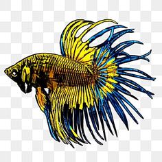 a yellow and blue fish on a white background