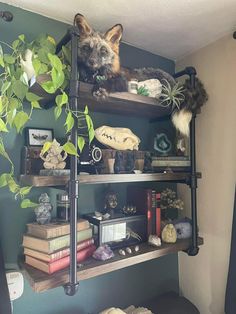 a cat sitting on top of a shelf next to a potted plant and books