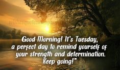 good morning it's tuesday, a perfect day to remind yourself of your strength and determination keep going