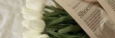 white tulips and green leaves laying on top of a piece of paper that says shoeme