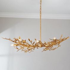 a gold chandelier hanging from a ceiling in a room with white walls and flooring