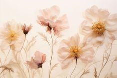 some pink flowers on a white wall and one is in the foreground with other flowers behind it