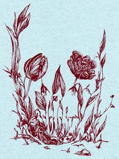 a drawing of some flowers in the grass