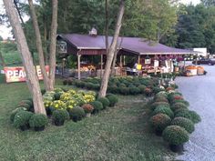 an open air market with lots of trees and flowers in the foreground, surrounded by potted plants