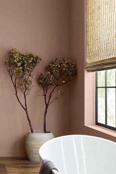 two potted plants are in the corner of a bathroom with pink walls and wood flooring