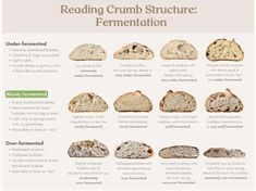 a poster showing different types of breads