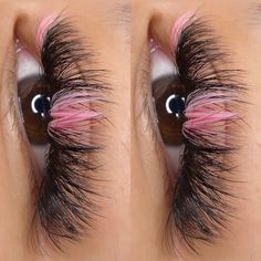 Pink And White Eyelash Extensions, Light Pink Lash Extensions, Lash Extension With Color, Pink Eyelashes Extensions, Eyelashes With Pink, Pink And White Lash Extensions, Lash Extensions With White Lashes, Pink Lashes Extensions, Lashes With Pink In Them