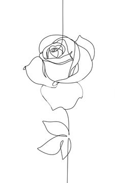 Printed on demand to fit perfect on your wall. Buy Rose Line art wallpaper today or come in and see our other designs. Welcome to Happywall.com! Roses Wallpaper Drawing, Wall Art Tattoo, Line Art Stencil, Line Art Tattoos Flower, Wall Line Art, Line Art Abstract, Aesthetic Line Art, Line Art Drawings Flowers, One Line Art Tattoo