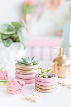 pink and gold planters with succulents in them on a white table