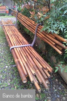 a bunch of bamboo sticks sitting on the ground next to some bushes and trees in front of a building