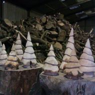 several different types of gnome hats on logs