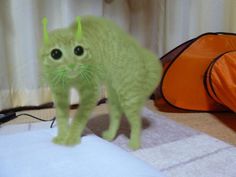 a green cat walking across a bed next to a tent