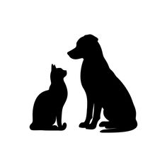 a cat and dog sitting next to each other on a white background with the silhouette of two cats