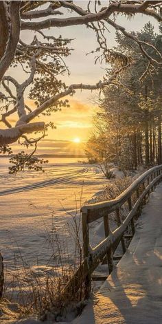 the sun is setting behind some trees on a snowy day with snow covering the ground