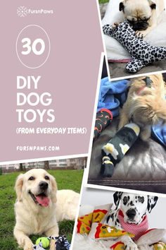 four pictures of dogs with their toys and the words 30 diy dog toys from everyday items