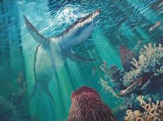 a painting of a shark swimming in the ocean with corals and other marine life