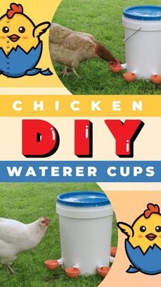 Animals Chickens Pet feeder waterer Crafts Animals, Poultry Farm, Chicken Diy