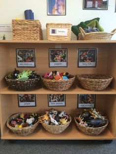 baskets and pictures are on display in the children's section of a library shelf